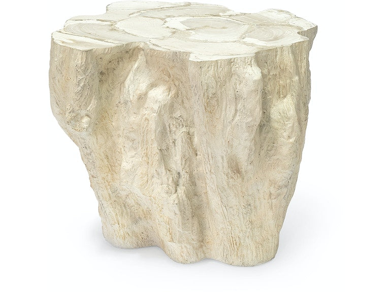 Camilla Fossilized Clam