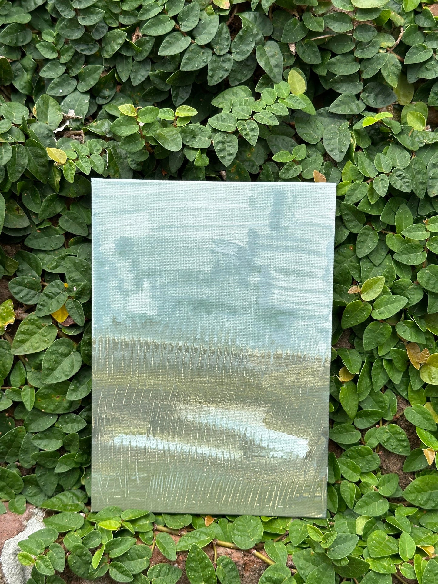 Haley Mathewes Original 5x7 Waterway on Canvas Panel