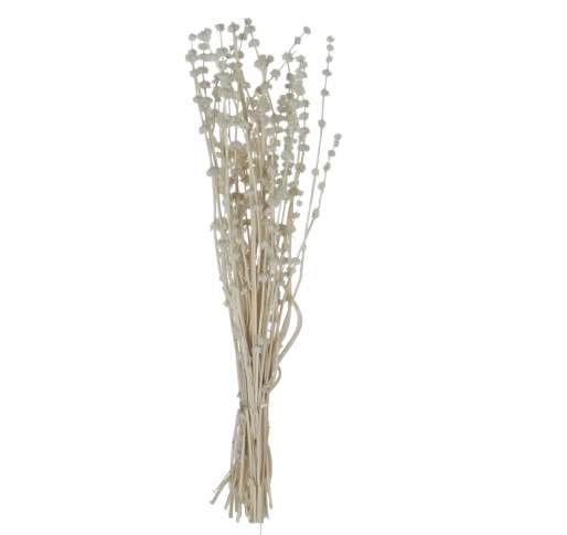 Dried Natural Lion's Bunch, 19.5"