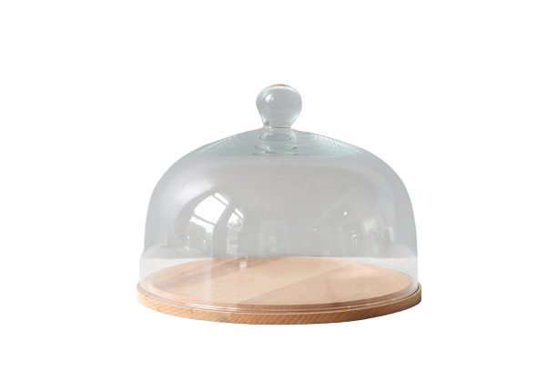 Glass Dome with Wood Base, Medium