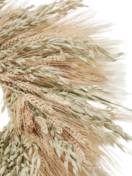 Dried Natural Wreaths - Agrarian