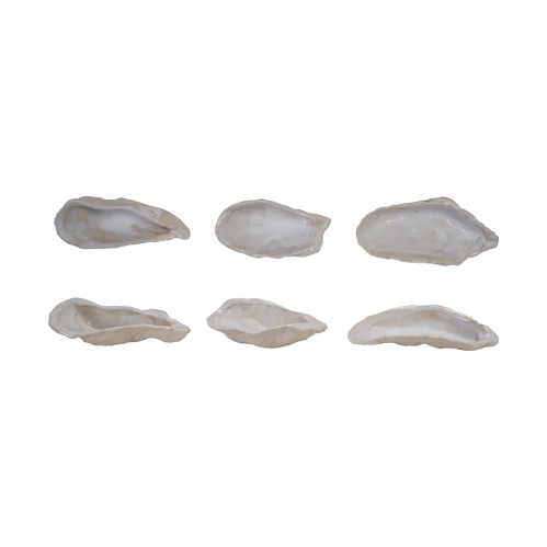 Stoneware Oyster Shell Shaped Dish, 3 Styles (Each Varies) - Individual