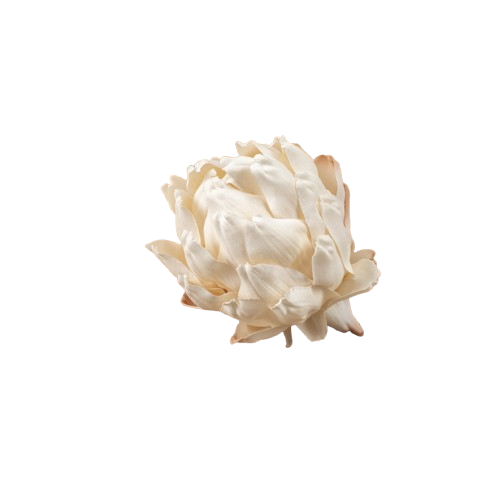 3.5" Cream Artichoke Head