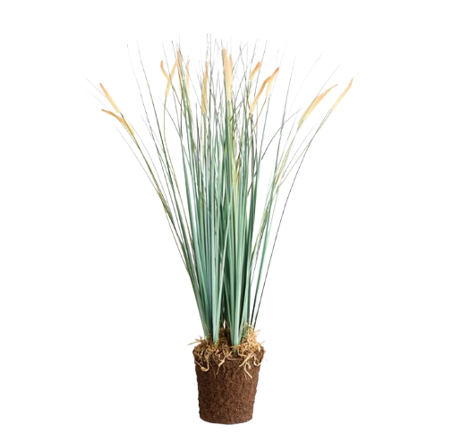 Field Grass Drop In, 35"