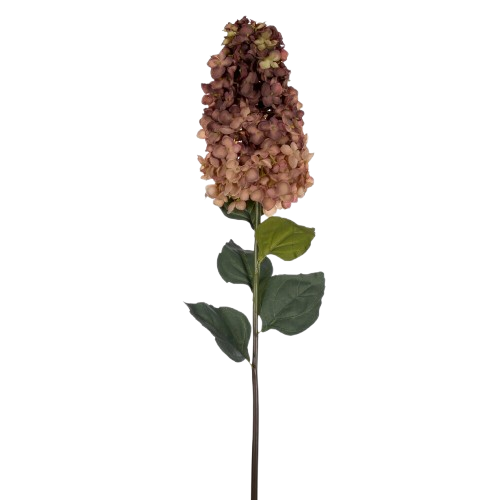 35.5" Coffee Cone Hydrangea, SET of 2