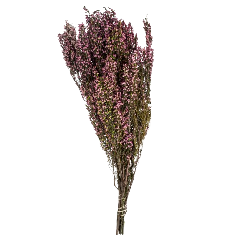Pink Heather (Erica) - 4-5 oz Bundle, Preserved