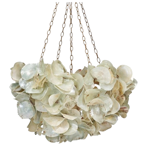 Venus Chandelier - Frost Saddle Oyster Shell