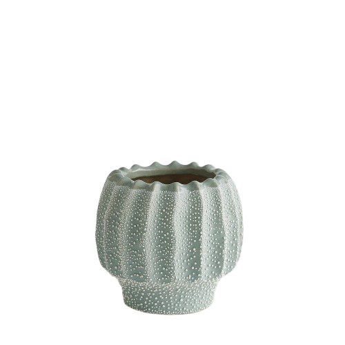 Echinus Vase- Green, Small