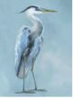CSTM - Heron in Blue I Randy Redman