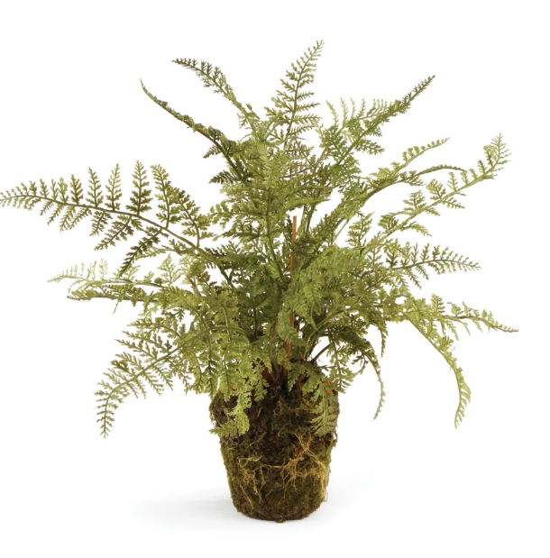 Soft Fern Drop-in 13"