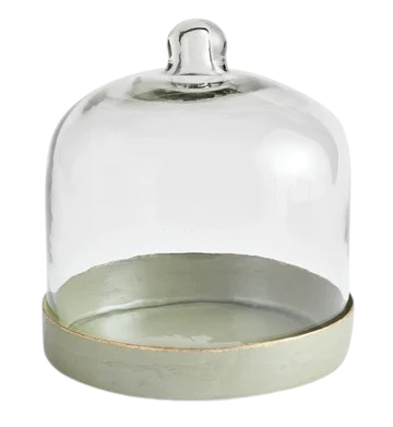 Kammie Tray With Cloche - Small