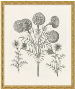 Bessler Study in Neutral 11