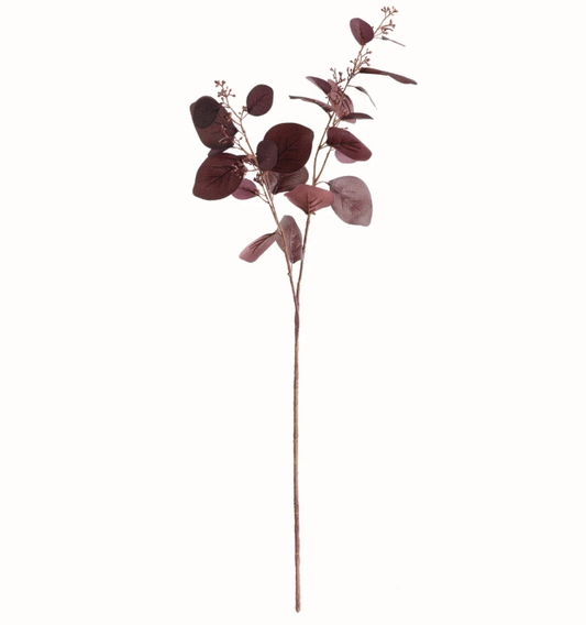 Silver Dollar Eucalyptus Branch 32"