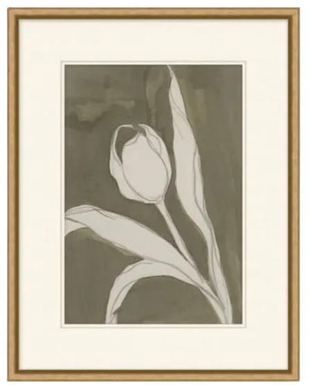 Sweet Tulip 1