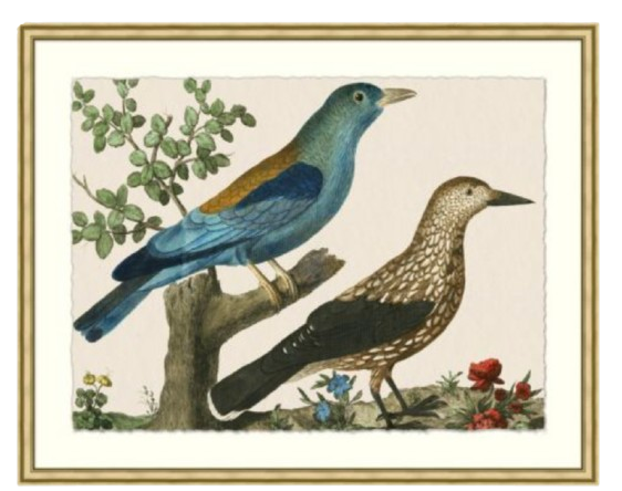 Birds in Blue 1