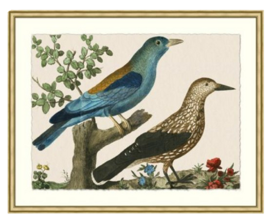 Birds in Blue 1