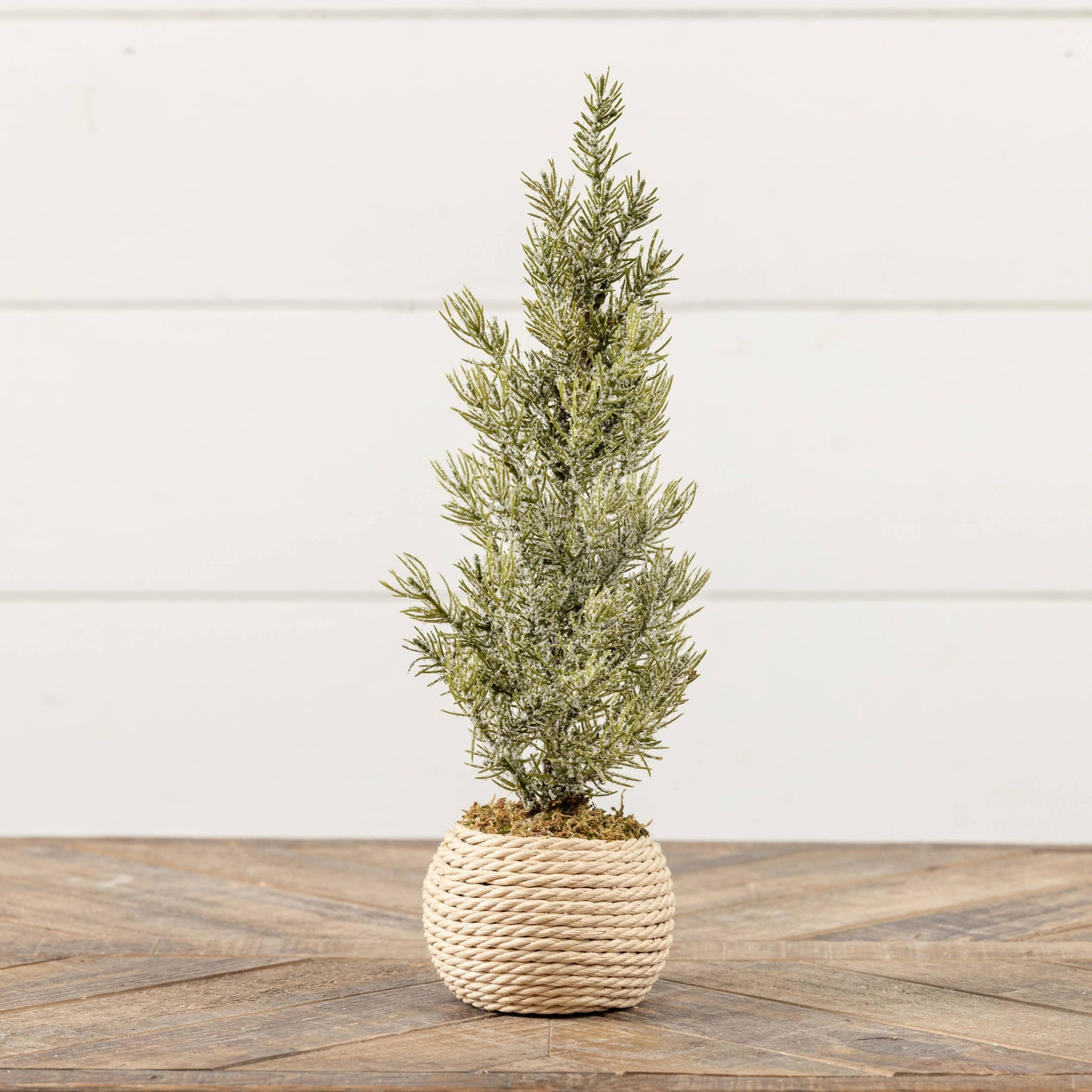 15.75" VERBIER TREE IN POT