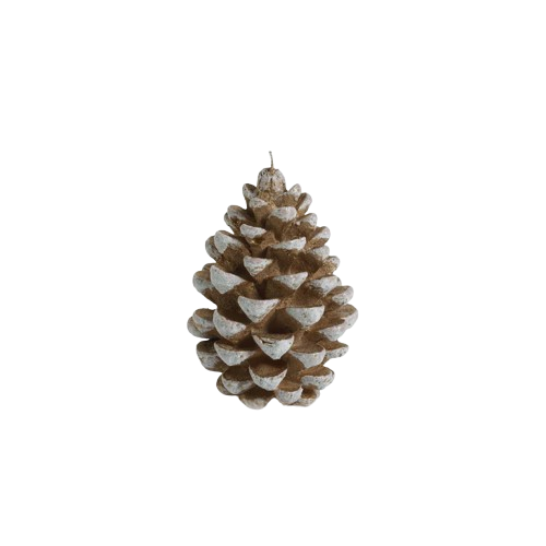 Pine Cone Candle - Gold and White