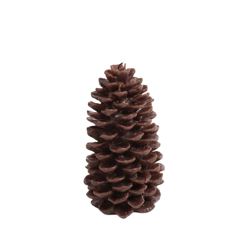 Pine Cone Candle - Medium