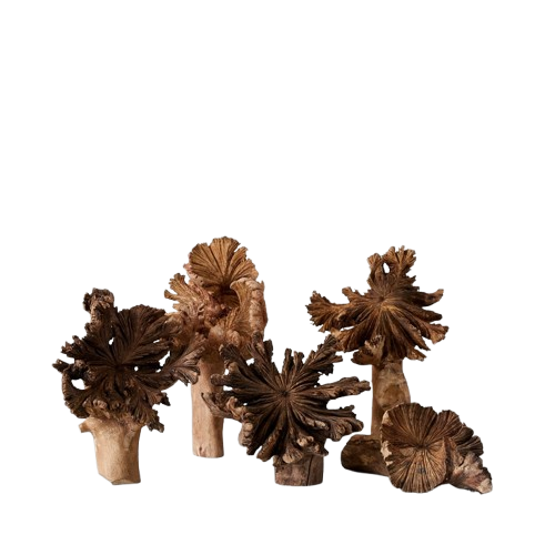 Rare Wood Flower